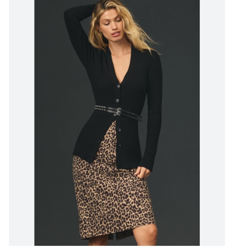 Anthropologie Maeve Colette Leopard Print Pencil Skirt